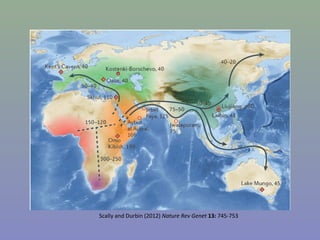 Scally and Durbin (2012) Nature Rev Genet 13: 745-753
 