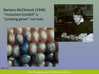 Figura 7.23
Peter J Russell, Genetica © 2010 Pearson Italia S.p.A
Barbara McClintock (1948):
“mutazioni instabili” e
“jumping genes” nel mais
 