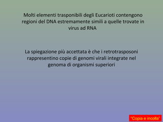 Molti elementi trasponibili degli Eucarioti contengono
regioni del DNA estremamente simili a quelle trovate in
virus ad RNA
“Copia e incolla”
La spiegazione più accettata è che i retrotrasposoni
rappresentino copie di genomi virali integrate nel
genoma di organismi superiori
 