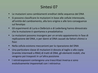 Sintesi 07
• Le mutazioni sono cambiamenti ereditari della sequenza del DNA
• Si possono classificare le mutazioni in base alle cellule interessate,
all’entità del cambiamento, alla loro origine e alle loro conseguenze
sul fenotipo
• Gli esperimenti di Luria e Delbrück e di Lederberg hanno dimostrato
che la mutazione è spontanea e preadattativa
• Le mutazioni possono insorgere per un errato appaiamento in fase di
replicazione del DNA, o per danni al DNA causati da fattori chimici e
fisici
• Nella cellula esistono meccanismi per la riparazione del DNA
• Una particolare classe di mutazioni è dovuta al taglio o alla copia
(tramite intermedi a RNA) di tratti di DNA, gli elementi mobili, che
vengono poi trasposti in un’altra posizione
• I retrotrasposoni contengono una trascrittasi inversa e sono
evolutivamente imparentati con i retrovirus
 