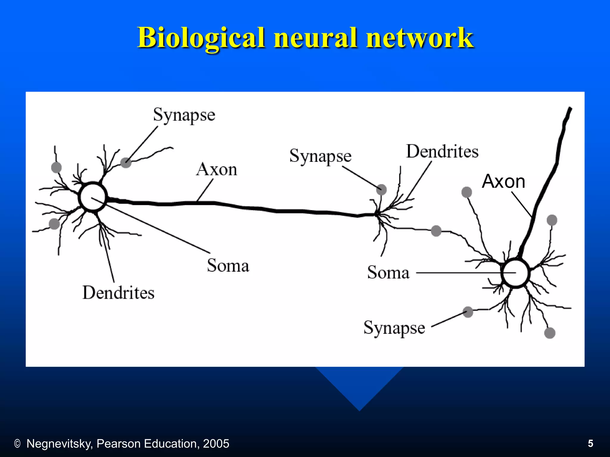 © Negnevitsky, Pearson Education, 2005 5
Biological neural network
Soma Soma
Synapse
Synapse
Dendrites
Axon
Synapse
Dendrites
Axon
 