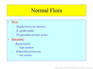 Normal Flora Skin Staphylococcus aureus , S. epidermidis   Propionibacterium acnes Intestine Bacteroides high numbers  Enterobacteriaceae low number 