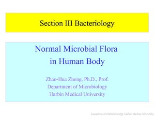 Section III Bacteriology Normal Microbial Flora  in Human Body Zhao-Hua Zhong, Ph.D., Prof. Department of Microbiology Harbin Medical University 