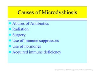 Causes of Microdysbiosis Abuses of Antibiotics Radiation Surgery Use of immune suppressors Use of hormones Acquired immune deficiency 