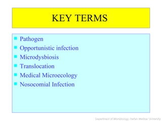 KEY TERMS  Pathogen Opportunistic infection Microdysbiosis Translocation Medical Microecology  Nosocomial Infection 