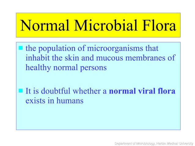 Normal Microbial Flora Is Best Described As normal microbial flora | PPT