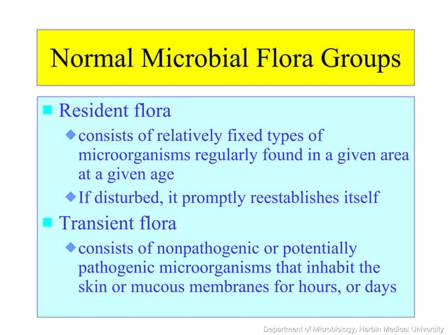 Normal Microbial Flora Is Best Described As normal microbial flora | PPT