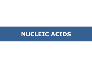 NUCLEIC ACIDS 
 
