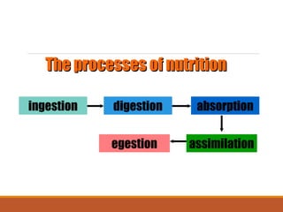 02. Nutrition in animals by Dilip Kumar Chandra | PPT