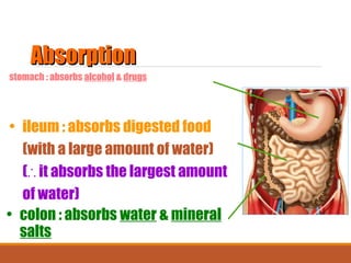 02. Nutrition in animals by Dilip Kumar Chandra | PPT