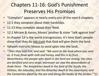 Chapters 11-16: God’s Punishment
Preserves His Promises
11
• “Complain” appears in nearly every one of the next 6 chapters.
• 11:1 they complain about their hardships.
• 11:13 they complain about their food.
• 12:1 Miriam & Aaron, Moses’ brother & sister “talk against him”
• In chapter 13 is the worst transgression, it’s here God’s people
show that they do not trust that God will give them the land.
• Yahweh instructs Moses to send spies into the land.
• “Then they told him, and said: “We went to the land where you sent
us. It truly flows with milk and honey, and this is its fruit.
Nevertheless the people who dwell in the land are strong; the cities
are fortified and very large; moreover we saw the descendants of
Anak there. The Amalekites dwell in the land of the South; the
Hittites, the Jebusites, and the Amorites dwell in the mountains; and
the Canaanites dwell by the sea and along the banks of the Jordan.””
 