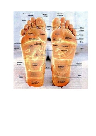 07p   reflexologia