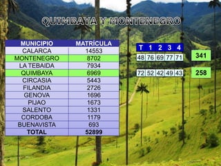 MUNICIPIO   MATRÍCULA
      CALARCA       14553
                              T 1 2 3 4
    MONTENEGRO       8702     48 76 69 77 71   341
     LA TEBAIDA      7934
      QUIMBAYA       6969     72 52 42 49 43   258
      CIRCASIA       5443
      FILANDIA       2726
       GENOVA        1696
        PIJAO        1673
      SALENTO        1331
      CORDOBA        1179
     BUENAVISTA       693
1       TOTAL       52899
 