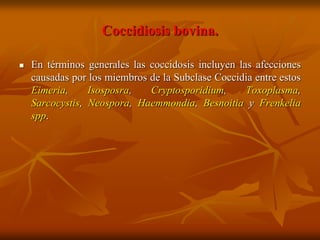 Coccidiosis bovina.

   En términos generales las coccidosis incluyen las afecciones
    causadas por los miembros de la Subclase Coccidia entre estos
    Eimeria,     Isosposra,   Cryptosporidium,      Toxoplasma,
    Sarcocystis, Neospora, Haemmondia, Besnoitia y Frenkelia
    spp.
 
