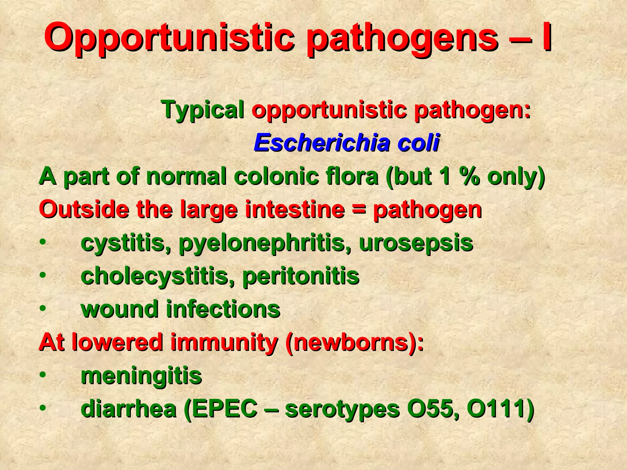 Opportunistic pathogens – I   Typical  opportunistic pathogen: Escherichia coli A part of normal colonic flora (but 1 % only) Outside the large intestine = pathogen cystitis, pyelonephritis, urosepsis cholecystitis, peritonitis wound infections At lowered immunity (newborns):  meningitis   diarrhea (EPEC – serotypes O55, O111) 