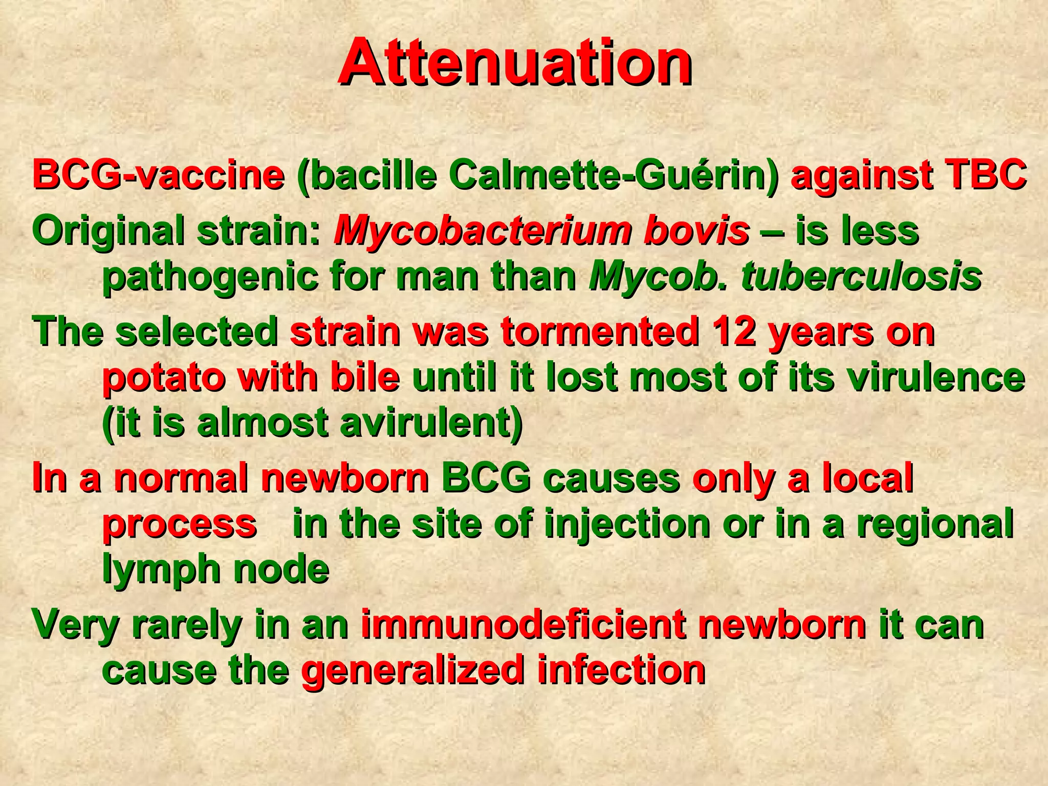 Attenuation   BCG-vaccine  (bacille Calmette-Guérin)  against TBC Original strain:  Mycobacterium bovis  –  is less pathogenic for man than  Mycob. tuberculosis The selected  strain was tormented 12 years on potato with bile  until it lost most of its virulence (it is almost avirulent) In   a normal newborn  BCG   causes  only a local process   in the site of injection or in a regional lymph node Very rarely in an  immunodeficient newborn  it can cause the  generalized infection   