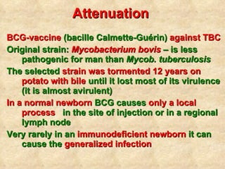 Attenuation   BCG-vaccine  (bacille Calmette-Guérin)  against TBC Original strain:  Mycobacterium bovis  –  is less pathogenic for man than  Mycob. tuberculosis The selected  strain was tormented 12 years on potato with bile  until it lost most of its virulence (it is almost avirulent) In   a normal newborn  BCG   causes  only a local process   in the site of injection or in a regional lymph node Very rarely in an  immunodeficient newborn  it can cause the  generalized infection   