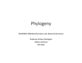 Phylogeny
MICROBIO 590B Bioinformatics Lab: Bacterial Genomics
Professor Kristen DeAngelis
UMass Amherst
Fall 2022
1
 