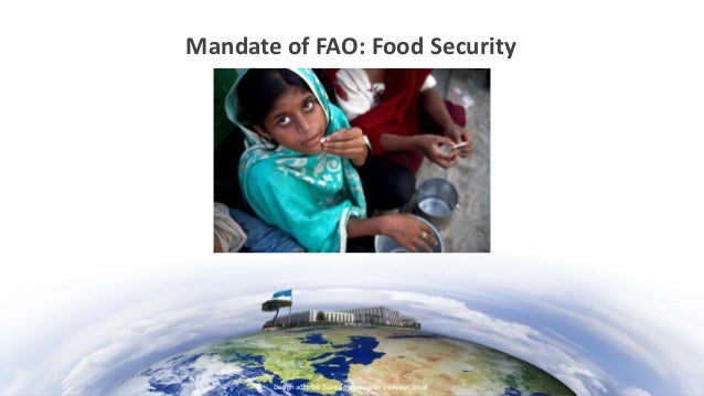 United Nations Food And Agriculture Organization Food Security Definition United Nations Food And Agriculture Organization Food Security Definition