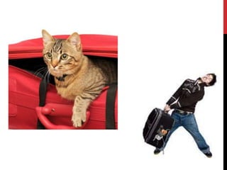 07 principles 1 affordance