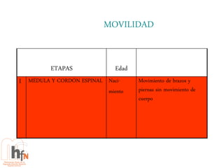 MOVILIDAD


         ETAPAS              Edad
I MÉDULA Y CORDÓN ESPINAL Naci-     Movimiento de brazos y
                           miento   piernas sin movimiento de
                                    cuerpo
 