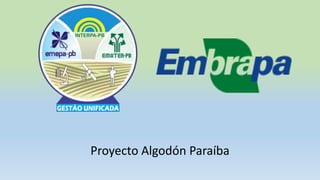 Proyecto Algodón Paraíba
 