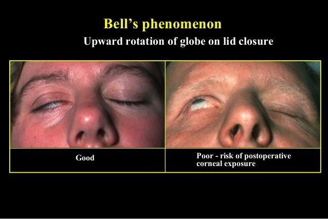 phenomenon or phenomena phenomenon or phenomena