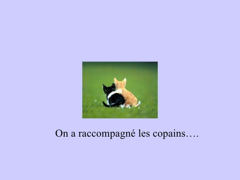 Quand Les Pieds Font La Fete 07 Quand Les Animaux Font La Fete