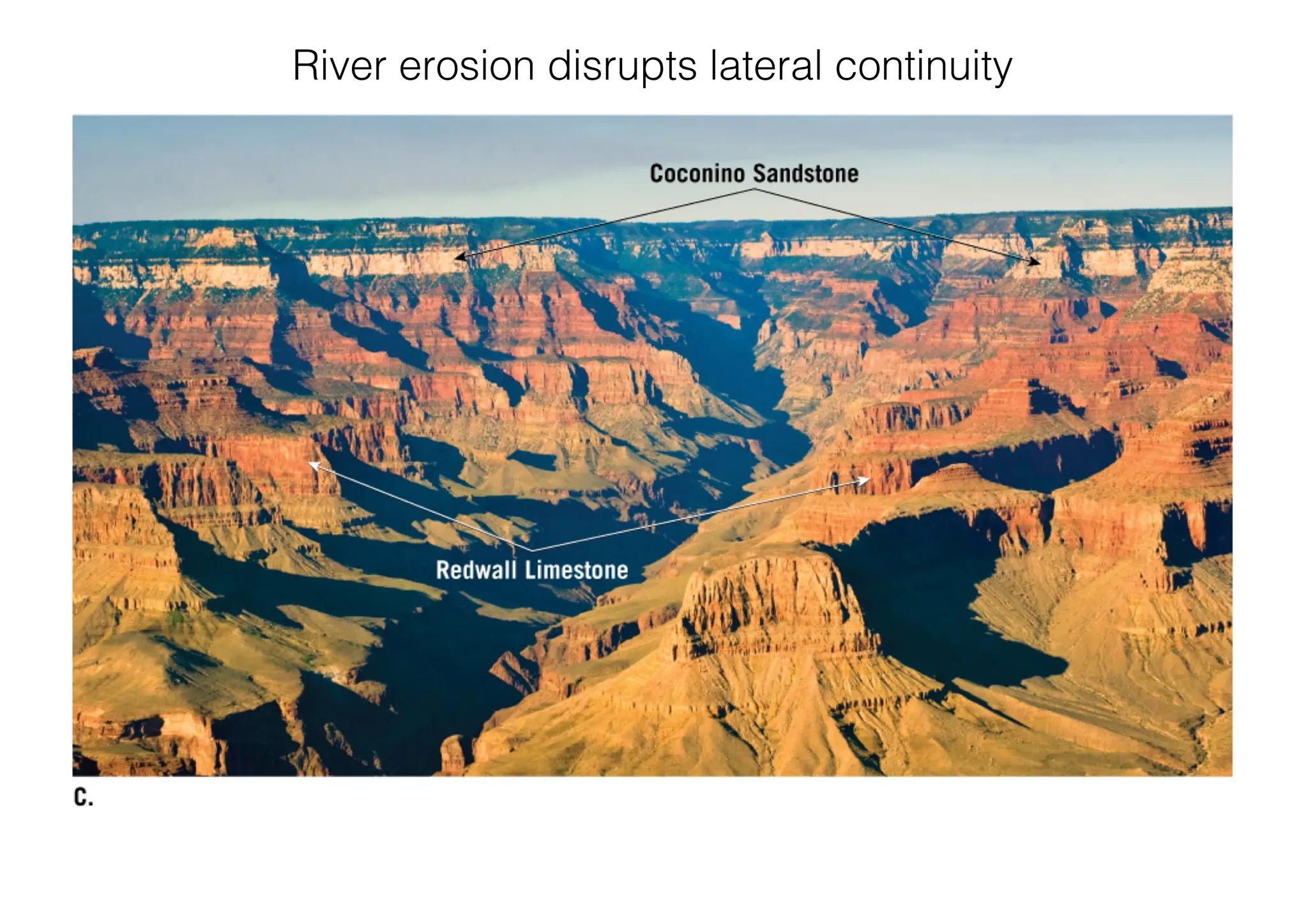 River erosion disrupts lateral continuity
 