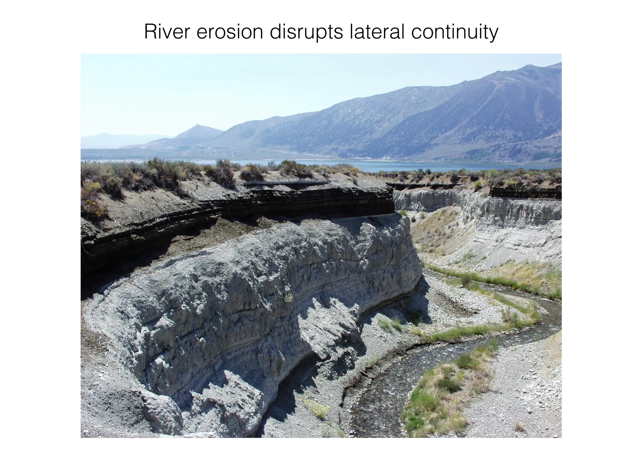 River erosion disrupts lateral continuity
 