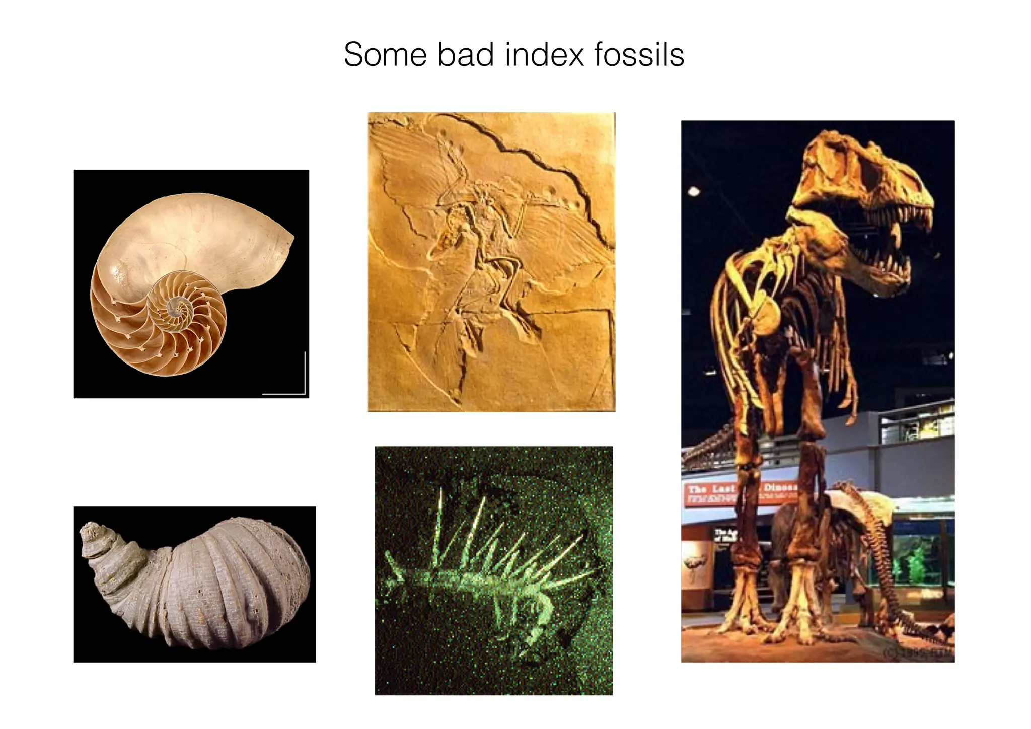 Some bad index fossils
 