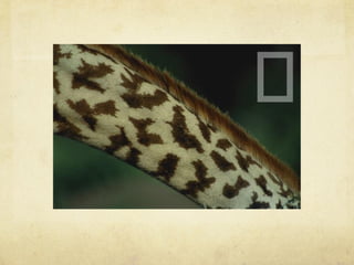 Design Digital I Anatomia da Mensagem Visual respresentação, simbolismo, abstração