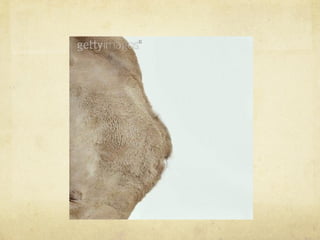 Design Digital I Anatomia da Mensagem Visual respresentação, simbolismo, abstração