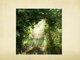 Design Digital I Anatomia da Mensagem Visual respresentação, simbolismo, abstração