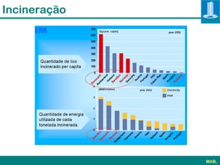 Incineração




              MAB,
 