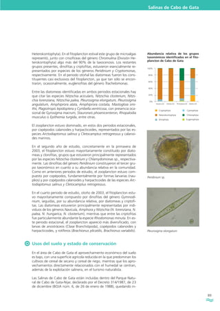 89
Pleurosigma elongatum
Salinas de Cabo de Gata
Heterokontophyta). En el fitoplancton estival este grupo de microalgas
representó, junto con crisofíceas del género Chromulina (División He-
terokontophyta) algo más del 90% de la taxocenosis. Los restantes
grupos presentes, dinofitas y criptofitas, estuvieron esencialmente re-
presentados por especies de los géneros Peridinium y Cryptomonas,
respectivamente. En el periodo otoñal las diatomeas fueron los cons-
tituyentes casi exclusivos del fitoplancton, ya que tan sólo se encon-
traron, ocasionalmente, euglenofitas del género Trachelomonas.
Entre las diatomeas identificadas en ambos periodos estacionales hay
que citar las especies Nitzschia acicularis, Nitzschia closterium, Nitzs-
chia lorenziana, Nitzschia palea, Pleurosigma elongatum, Pleurosigma
angulatum, Amphiprora alata, Amphiprora costata, Mastogloia smi-
thii, Plagiotropis lepidoptera y Cymbella ventricosa, con presencia oca-
sional de Gyrosigma macrum, Stauroneis phoenicenteron, Rhopalodia
musculus o Epithemia turgida, entre otras.
El zooplancton estuvo dominado, en estos dos periodos estacionales,
por copépodos calanoides y harpacticoides, representados por las es-
pecies Arctodiaptomus salinus y Cletocamptus retrogressus y calanoi-
des marinos.
En el segundo año de estudio, concretamente en la primavera de
2003, el fitoplancton estuvo mayoritariamente constituido por diato-
meas y clorofitas, grupos que estuvieron principalmente representados
por las especies Nitzschia closterium y Chlamydomonas sp., respectiva-
mente. Las dinofitas del género Peridinium constituyeron el tercer gru-
po taxonómico en cuanto a su abundancia relativa en la comunidad.
Como en anteriores periodos de estudio, el zooplancton estuvo com-
puesto por copépodos, fundamentalmente por formas larvarias (nau-
plios) y por copépodos calanoides y harpacticoides de las especies Arc-
todiaptomus salinus y Cletocamptus retrogressus.
En el cuarto periodo de estudio, otoño de 2003, el fitoplancton estu-
vo mayoritariamente compuesto por dinofitas del género Gymnodi-
nium, seguidas, por su abundancia relativa, por diatomeas y criptofi-
tas. Las diatomeas estuvieron principalmente representadas por indi-
viduos de los géneros Navicula, Amphora y Nitzschia (N. lorenziana, N.
palea, N. hungarica, N. closterium), mientras que entre las criptofitas
fue particularmente abundante la especie Rhodomonas minuta. En es-
te periodo estacional, el zooplancton apareció más diversificado, con
larvas de anostráceos (Clase Branchiópoda), copépodos calanoides y
harpacticoides, y rotíferos (Brachionus plicatilis, Brachionus variabilis).
Usos del suelo y estado de conservación
En el área de Cabo de Gata el aprovechamiento económico del suelo
es bajo, con una superficie agrícola reducida en la que predominan los
cultivos de cereal de secano y cereal de riego, mientras que los apro-
vechamientos directamente relacionados con el humedal se centran,
además de la explotación salinera, en el turismo naturalista.
Las Salinas de Cabo de Gata están incluidas dentro del Parque Natu-
ral de Cabo de Gata-Nijar, declarado por el Decreto 314/1987, de 23
de diciembre (BOJA núm. 6, de 26 de enero de 1988), quedando in-
Otoño-02 Primavera-03 Otoño-03Verano-02
100%
80%
60%
40%
20%
0%
Heterokontophyta
Dinophyta
Cyanophyta
Chlorophyta
Cryptophyta
Eugenophyta
Abundancia relativa de los grupos
taxonómicos identificados en el fito-
plancton de Cabo de Gata
Peridinium sp.
 