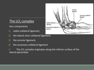 Lcl Complex Components paediatric injuries around the elbow. | PPTX