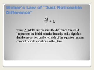 Stimulus thresholdThe Spatial Distribution of Sensory Neurons Activated by a Stimulus Conveys Information About the Stimulus Location