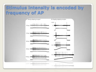 Sensory thresholds