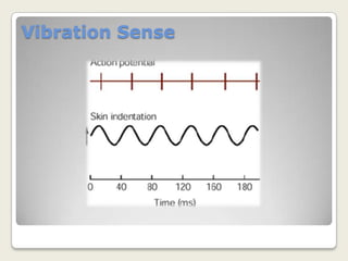 Spatial and Temporal Summation
