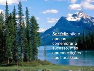 Ser feliz   não é apenas comemorar o sucesso, mas aprender lições nos fracassos.   