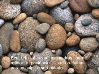 Ser feliz  é  usar as pedras para refinar a paciência. Usar as falhas para esculpir a serenidade. 