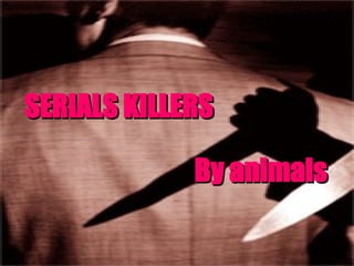 SERIALS KILLERS By animals 