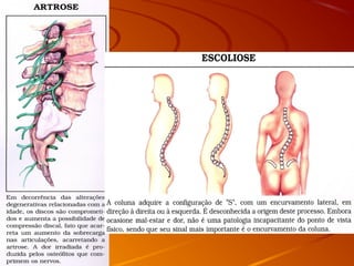 07 sistema articular