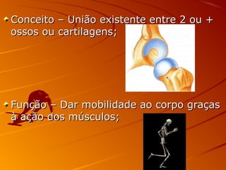 Conceito – União existente entre 2 ou +Conceito – União existente entre 2 ou +
ossos ou cartilagens;ossos ou cartilagens;
Função – Dar mobilidade ao corpo graçasFunção – Dar mobilidade ao corpo graças
à ação dos músculos;à ação dos músculos;
 