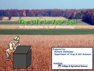 The Life in Your Soil
An Introduction to Soil Microbiology




                     Prepared by:
                       Richard Stehouwer
                       Department of Crop & Soil Sciences
 