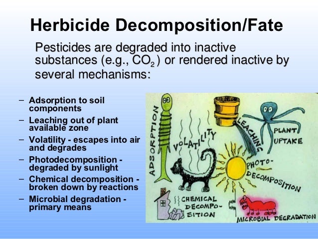 07 soil microbiology