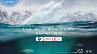 #SROCC
Ocean-based Mitigation and Adaptation
Jean-Pierre Gattuso
 