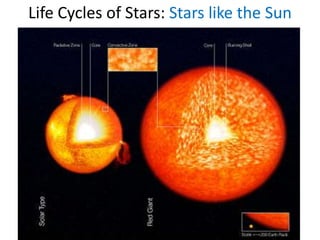 Life Cycles of Stars: Stars like the Sun
 