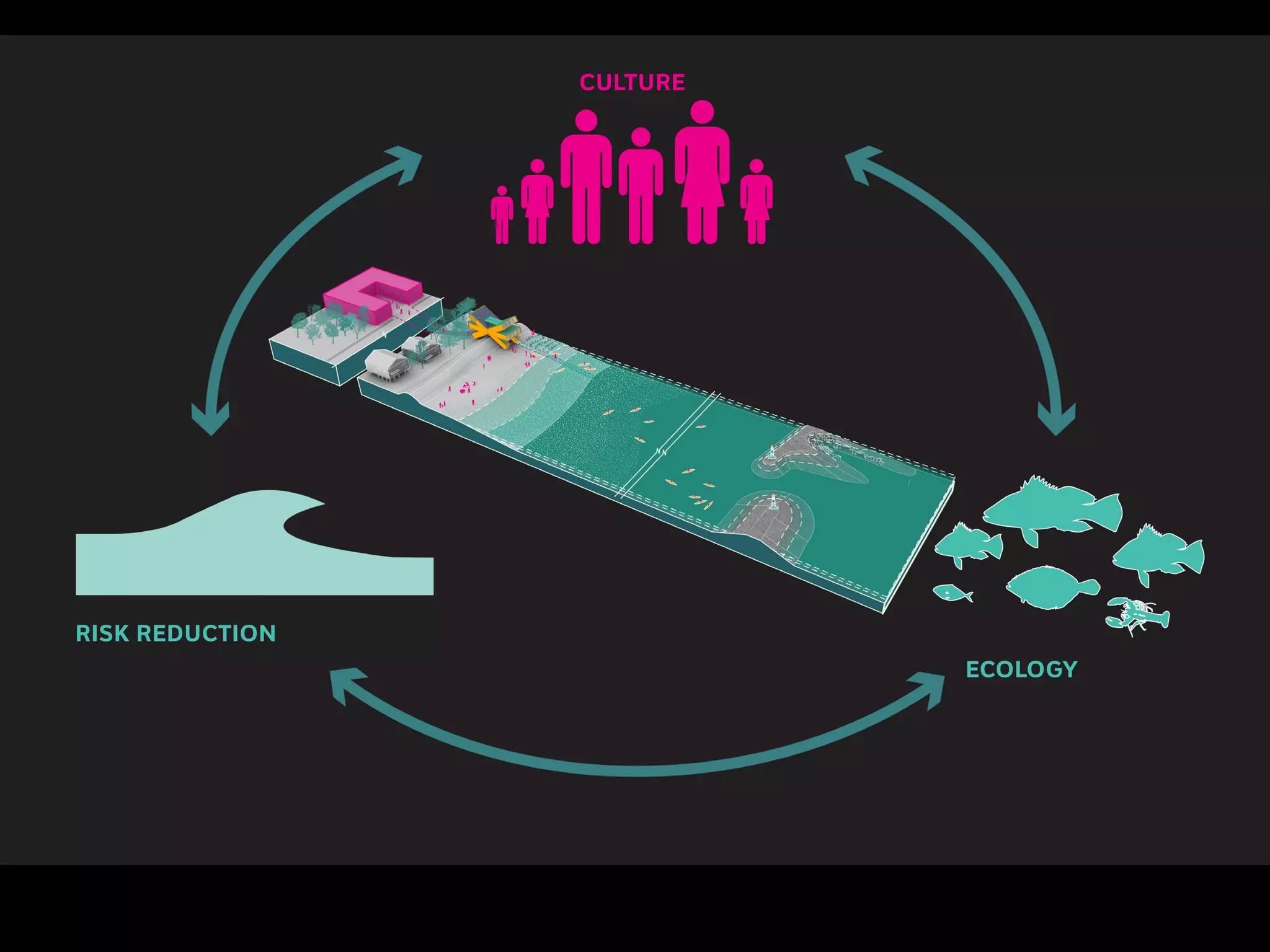 RISK REDUCTION
CULTURE
ECOLOGY
 